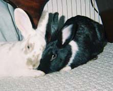 Clarence and Abigail sit cheek to cheek