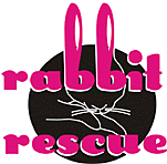 Rabbit Rescue home